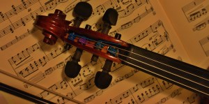 Fiddle