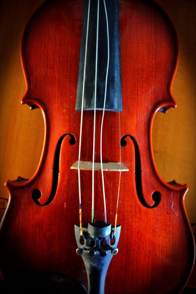 Fiddle