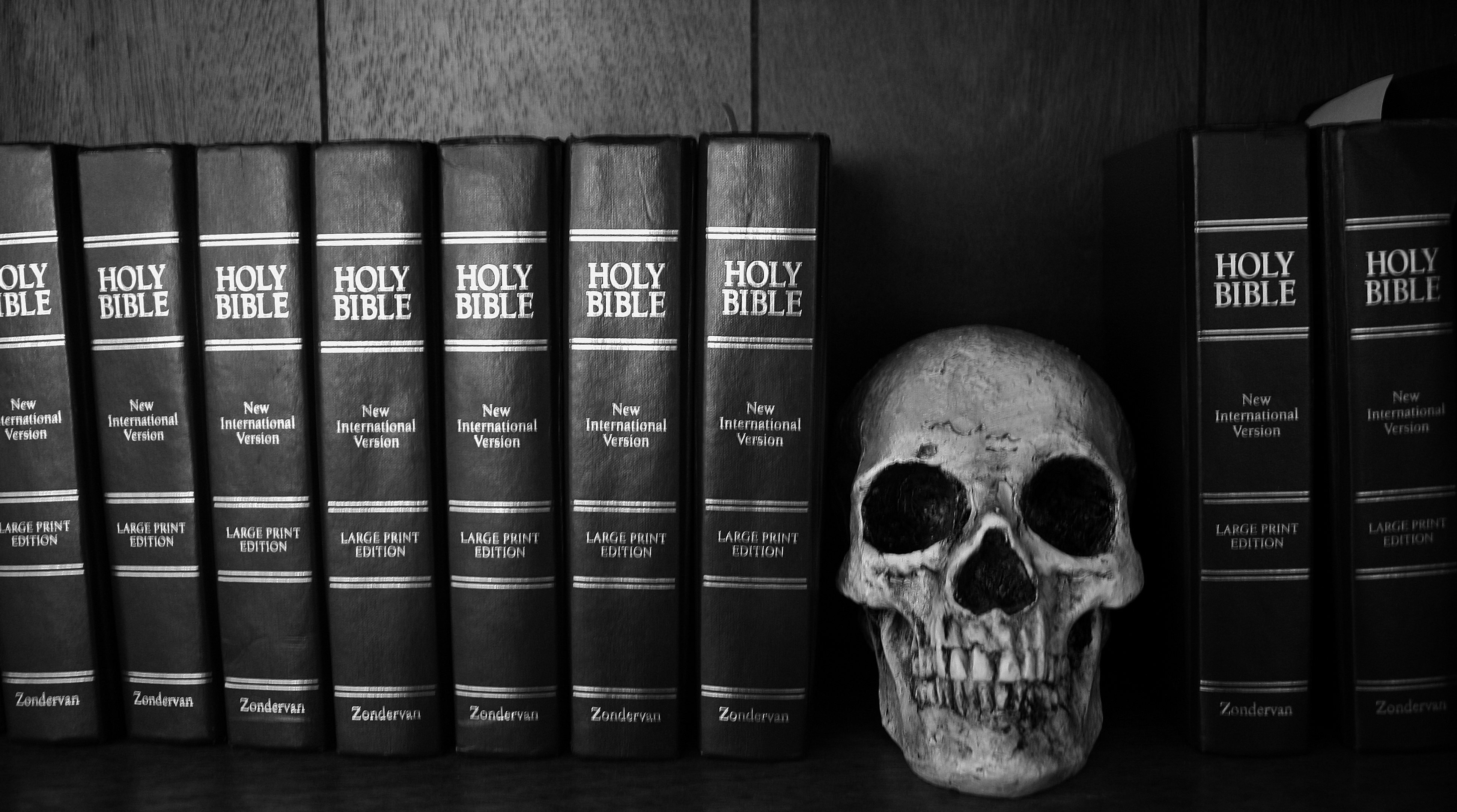 all-skull-and-bibles
