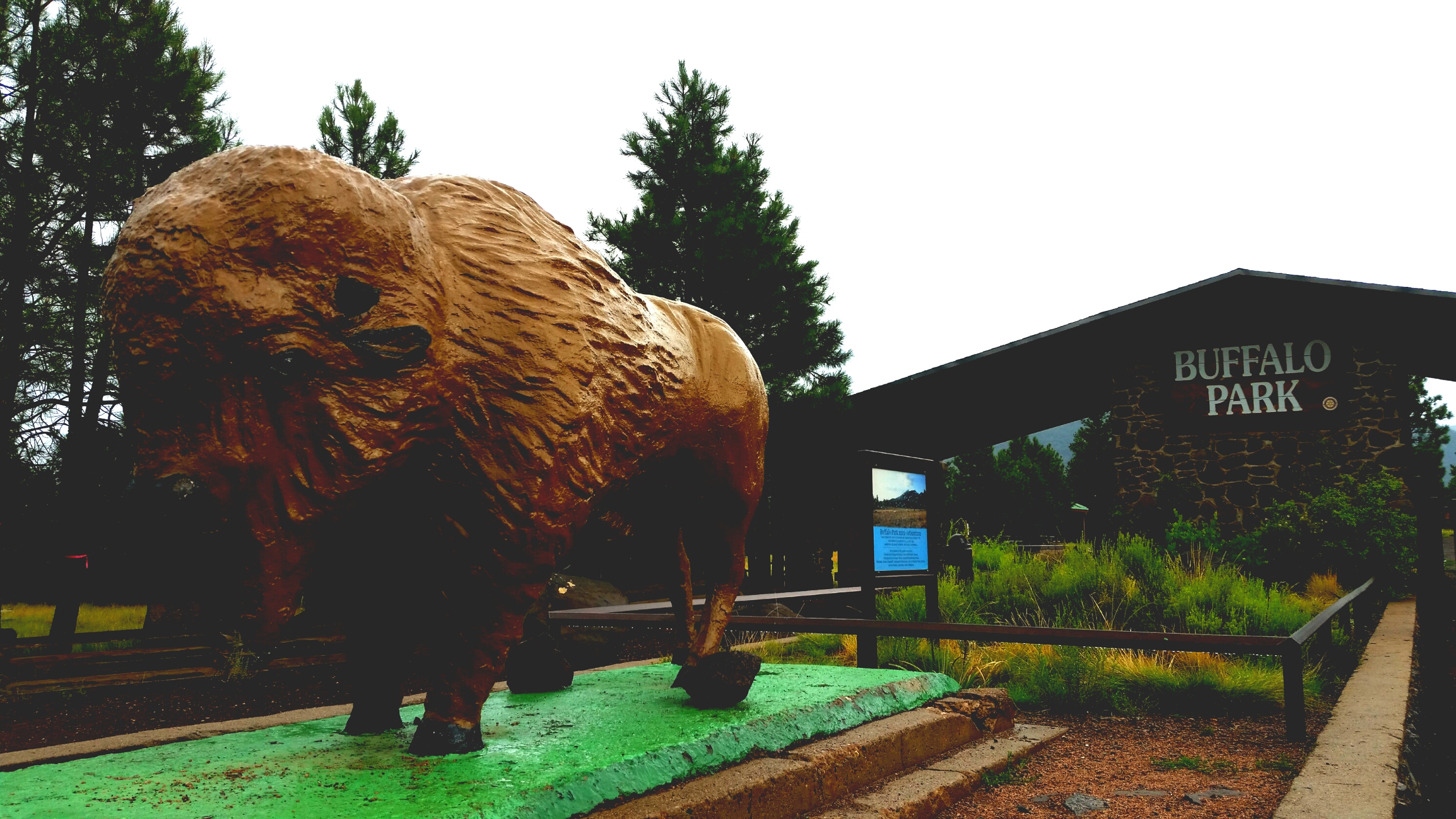 buffalo park