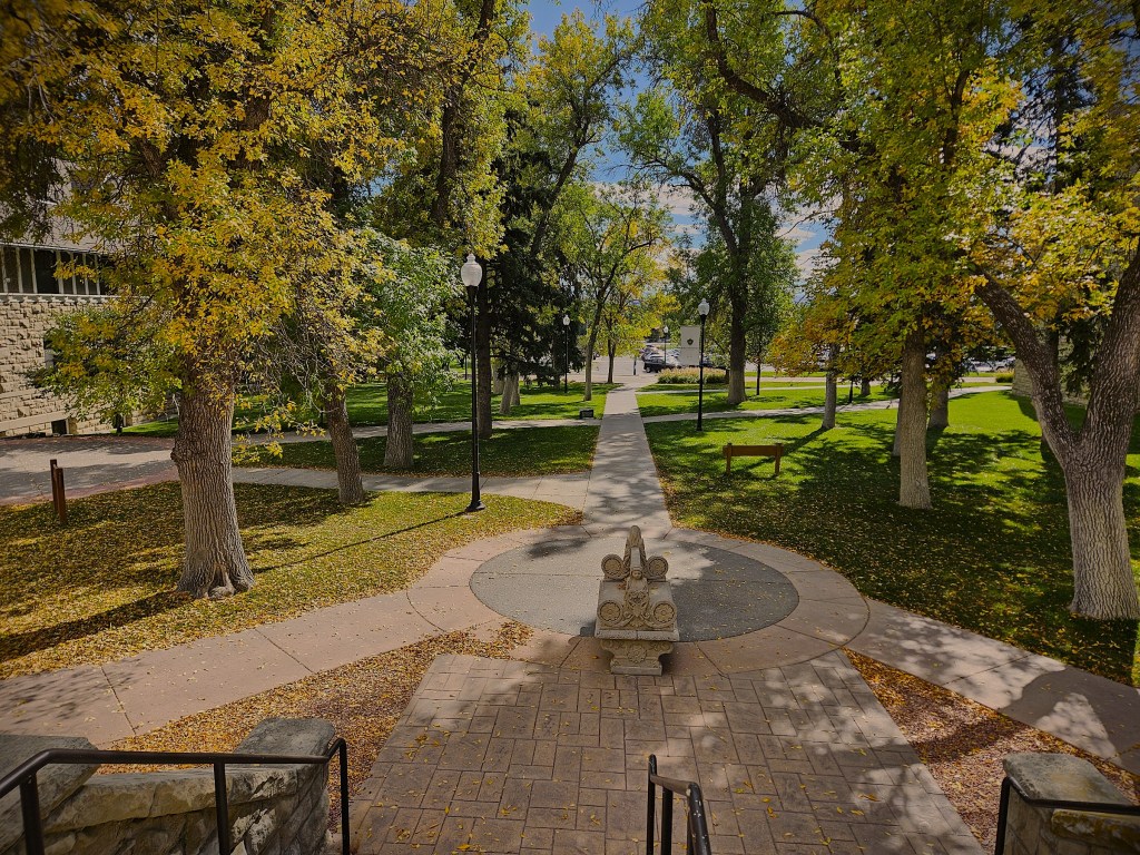 A paved walkway with a stone bench in the center. The walkway is arched with trees that are starting to turn yellow in autumn. 